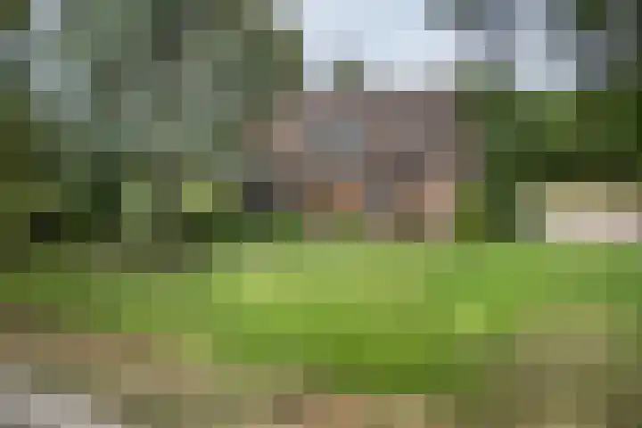 Beemdweg 3 Den Dungen thumbnail 30