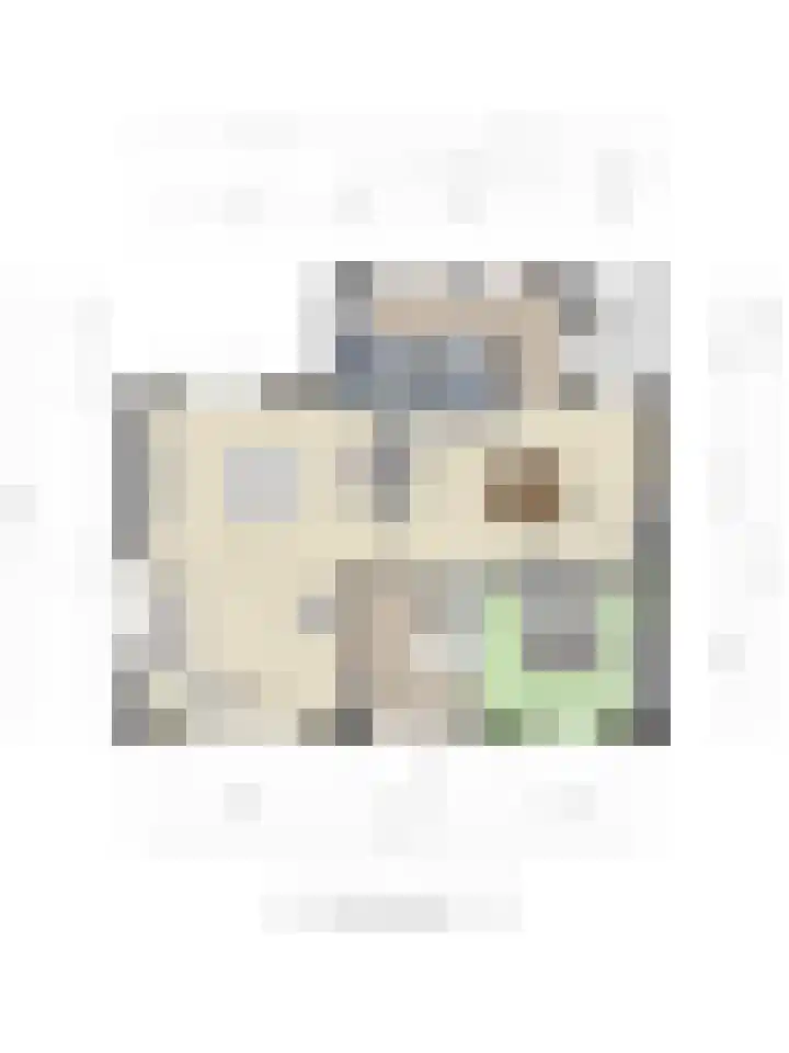 Beemdweg 3 Den Dungen thumbnail 32