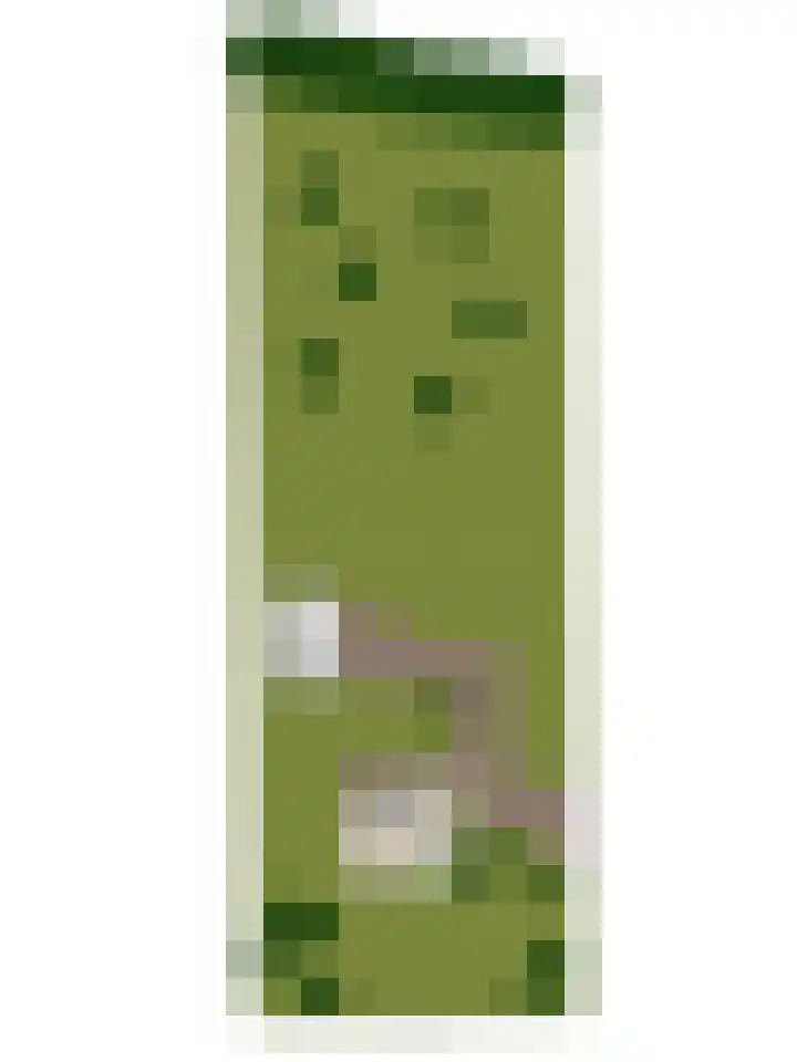 Beemdweg 3 Den Dungen thumbnail 36