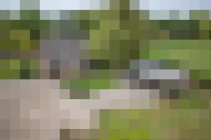 Beemdweg 3 Den Dungen thumbnail 4
