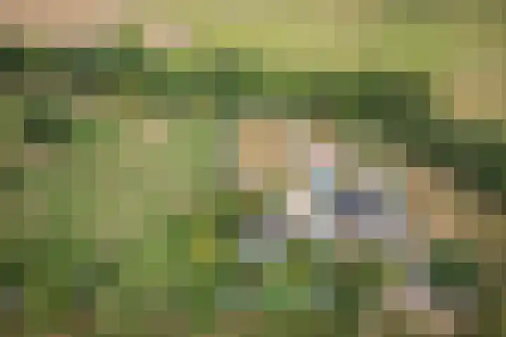Beemdweg 3 Den Dungen thumbnail 5
