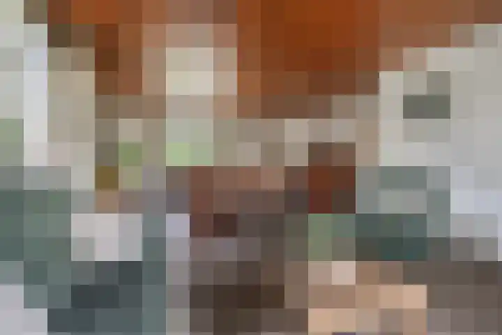 Beemdweg 3 Den Dungen thumbnail 6