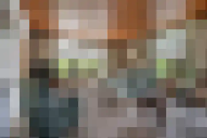 Beemdweg 3 Den Dungen thumbnail 7