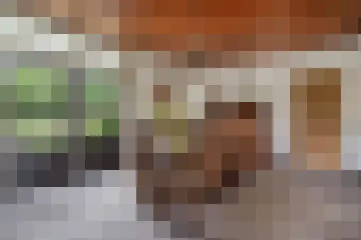 Beemdweg 3 Den Dungen thumbnail 8