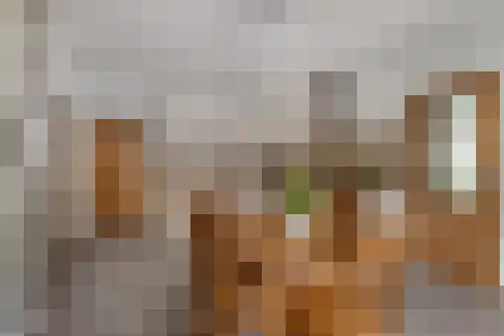 Beemdweg 3 Den Dungen thumbnail 9
