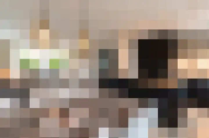 Beemdweg 3 't Harde thumbnail 12