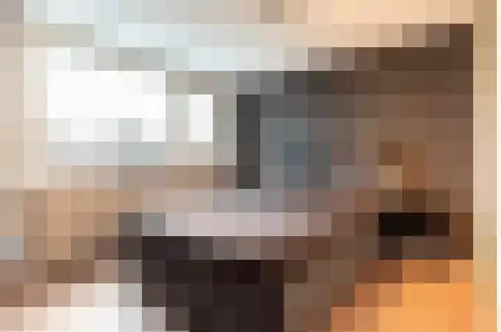Beemdweg 3 't Harde thumbnail 19