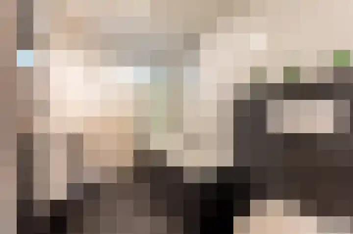 Beemdweg 3 't Harde thumbnail 25