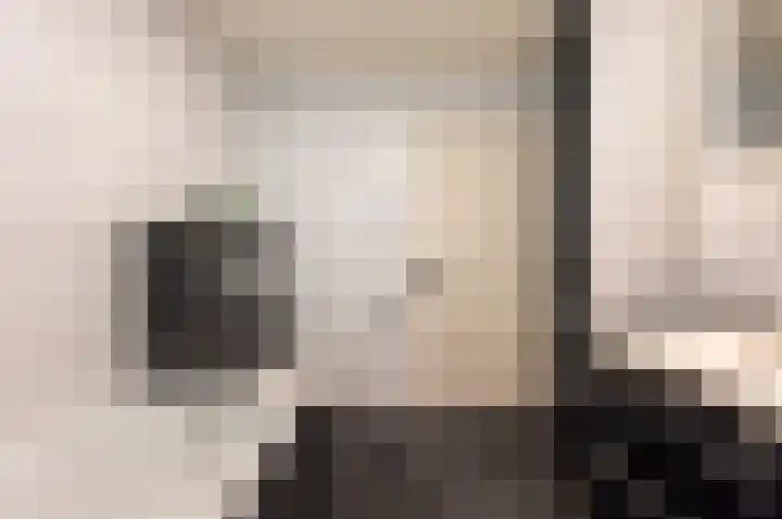 Beemdweg 3 't Harde thumbnail 26