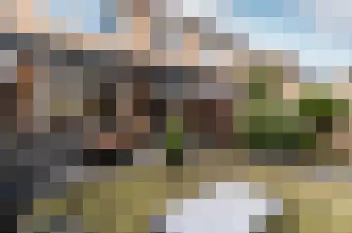 Beemdweg 3 't Harde thumbnail 34