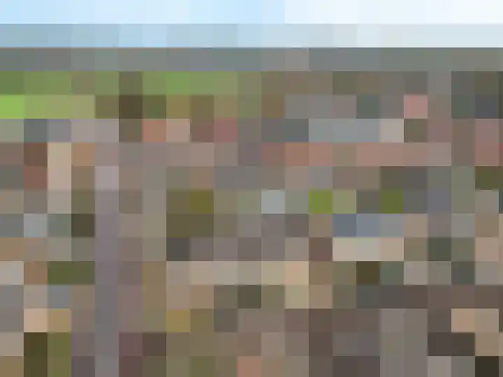 Beemdweg 3 't Harde thumbnail 37