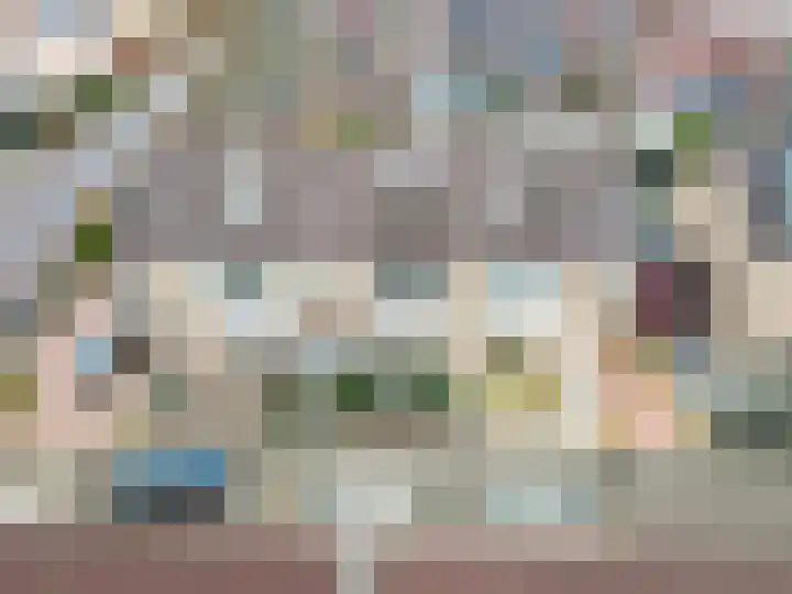 Beemdweg 3 't Harde thumbnail 5
