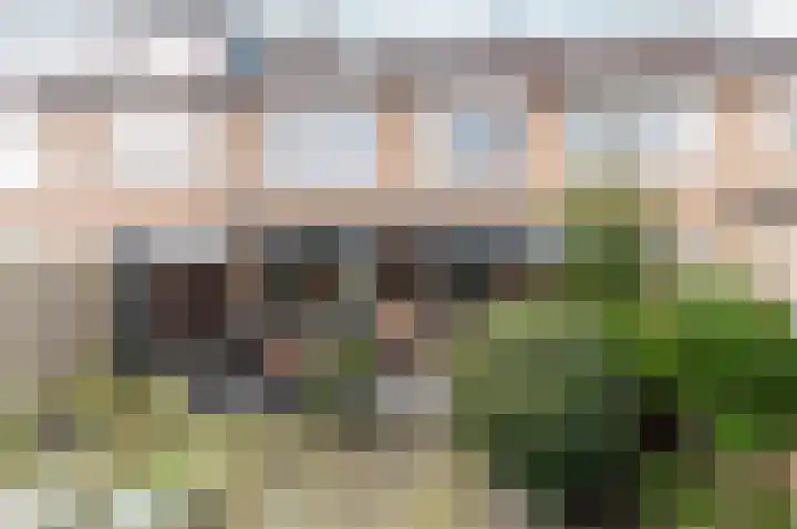 Beemdweg 3 't Harde thumbnail 6