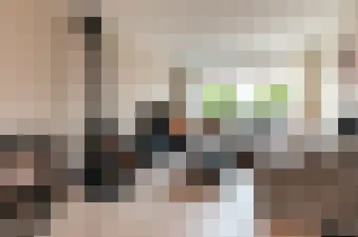 Beemdweg 3 't Harde thumbnail 7