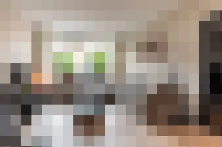 Beemdweg 3 't Harde thumbnail 8