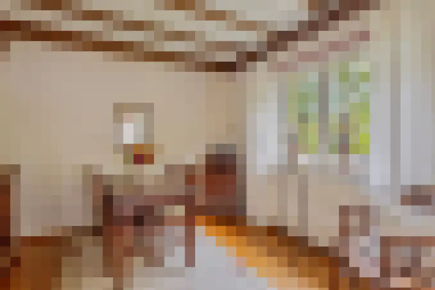 Beemdweg 9 A Wanssum thumbnail 10