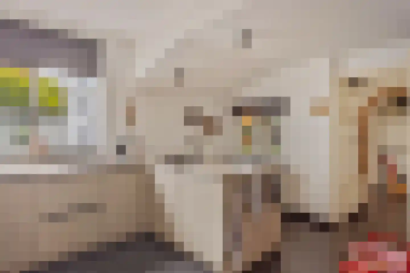 Beemdweg 9 A Wanssum thumbnail 14