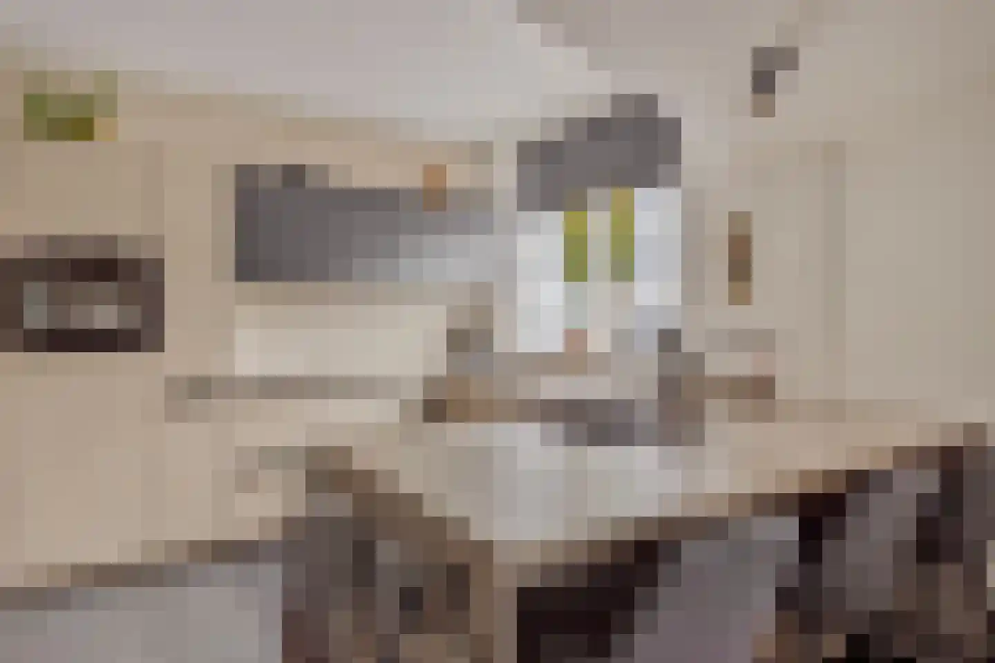 Beemdweg 9 A Wanssum thumbnail 15