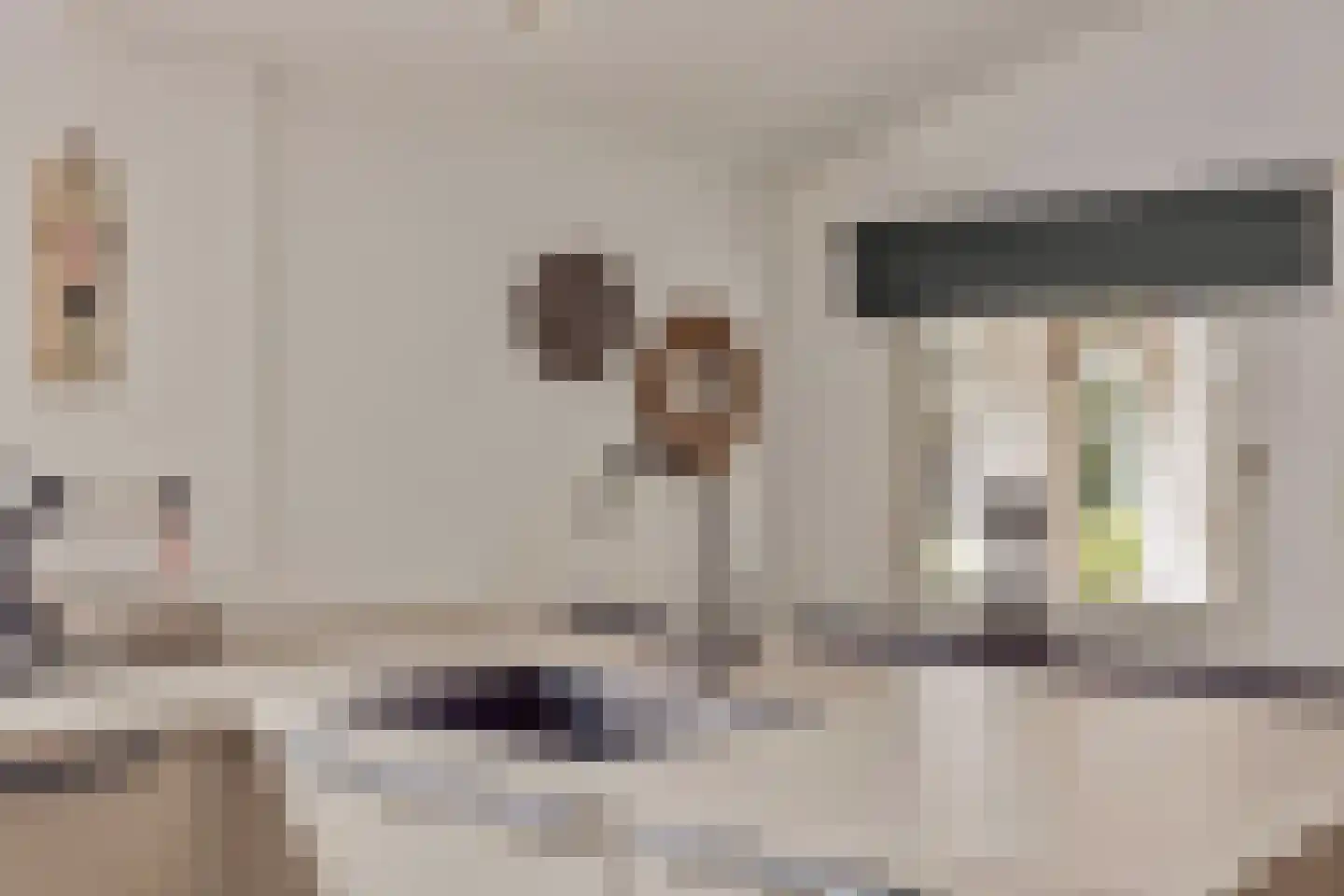 Beemdweg 9 A Wanssum thumbnail 18