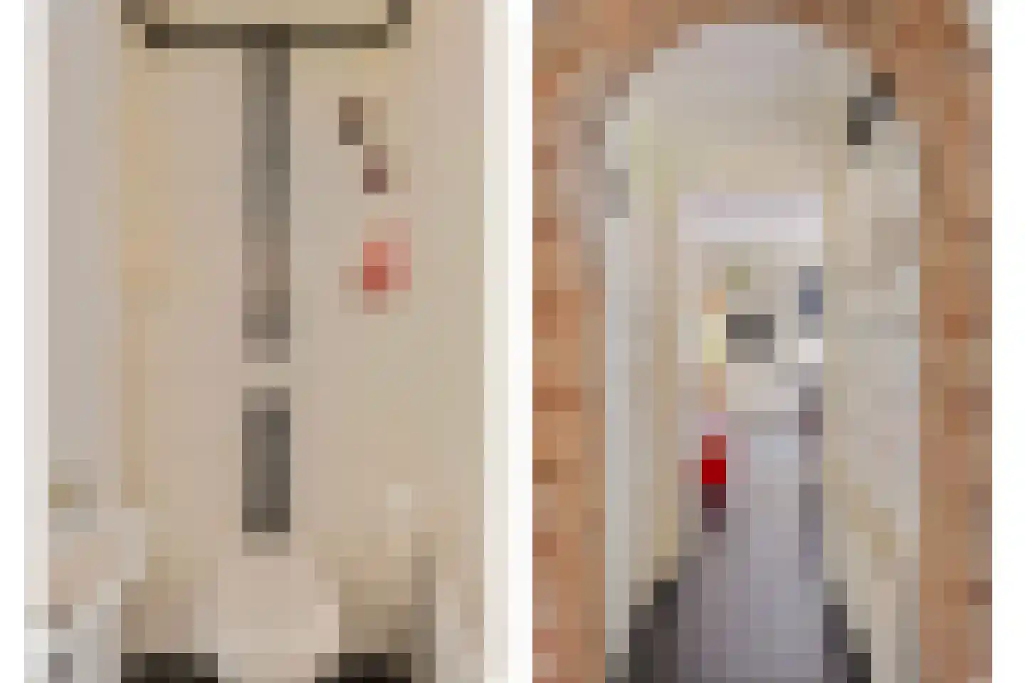 Beemdweg 9 A Wanssum thumbnail 19