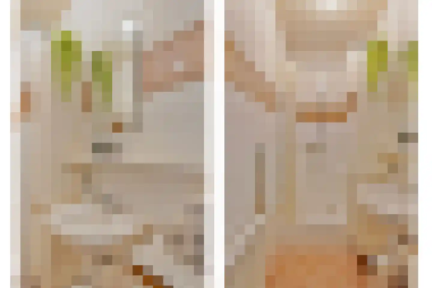 Beemdweg 9 A Wanssum thumbnail 20