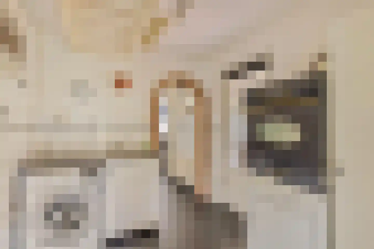 Beemdweg 9 A Wanssum thumbnail 22