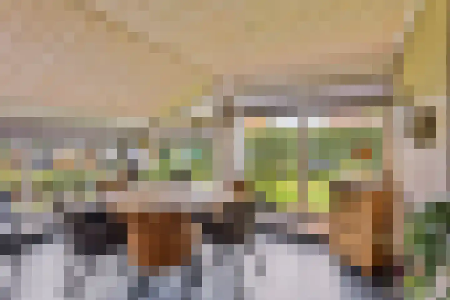 Beemdweg 9 A Wanssum thumbnail 23