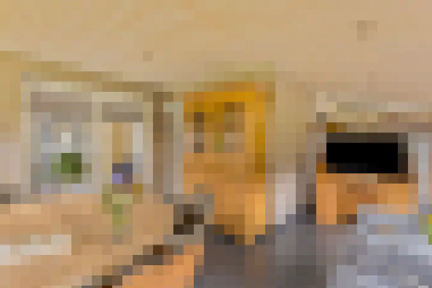 Beemdweg 9 A Wanssum thumbnail 25