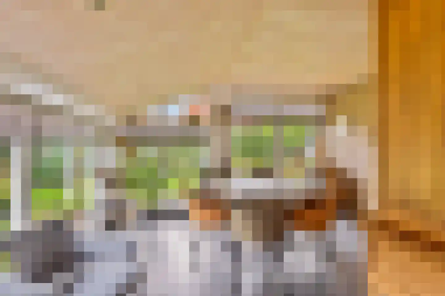 Beemdweg 9 A Wanssum thumbnail 26