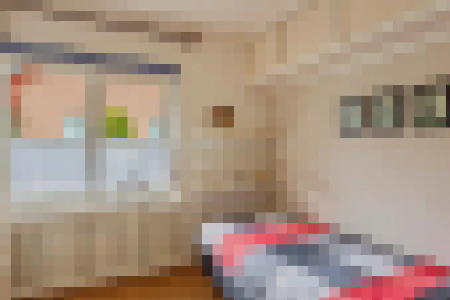 Beemdweg 9 A Wanssum thumbnail 29