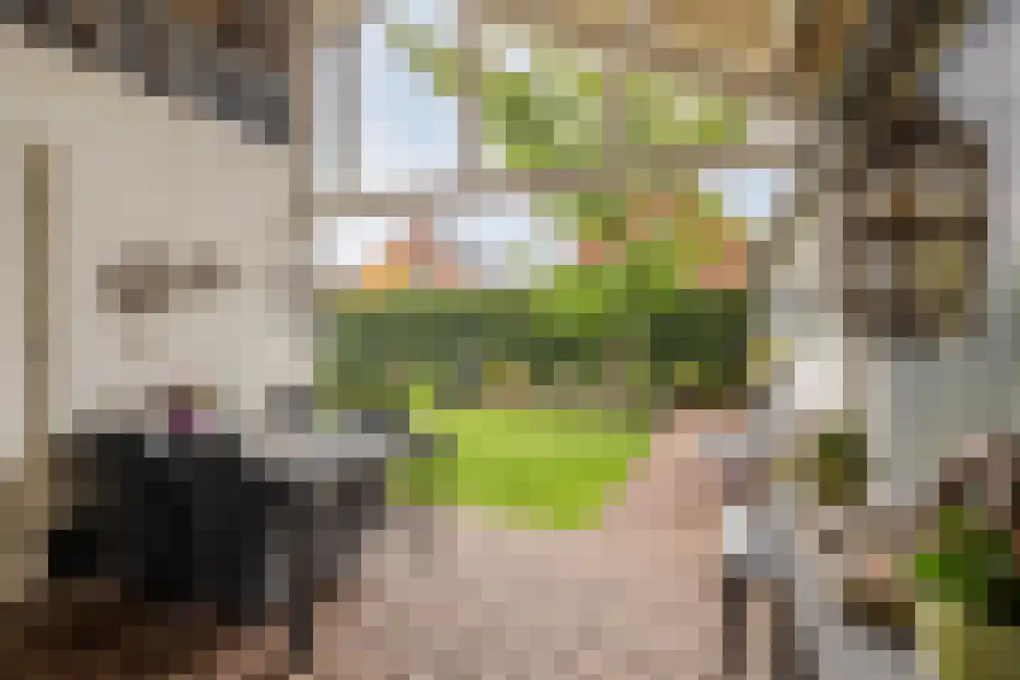 Beemdweg 9 A Wanssum thumbnail 30