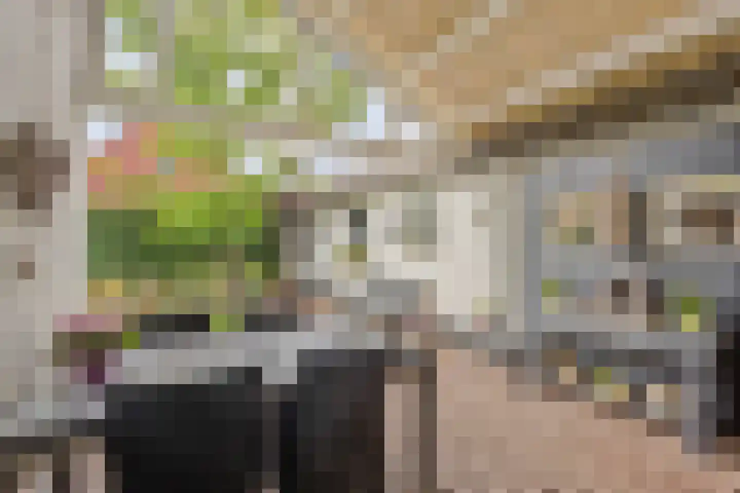 Beemdweg 9 A Wanssum thumbnail 31