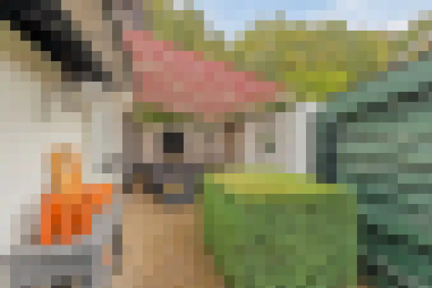 Beemdweg 9 A Wanssum thumbnail 39