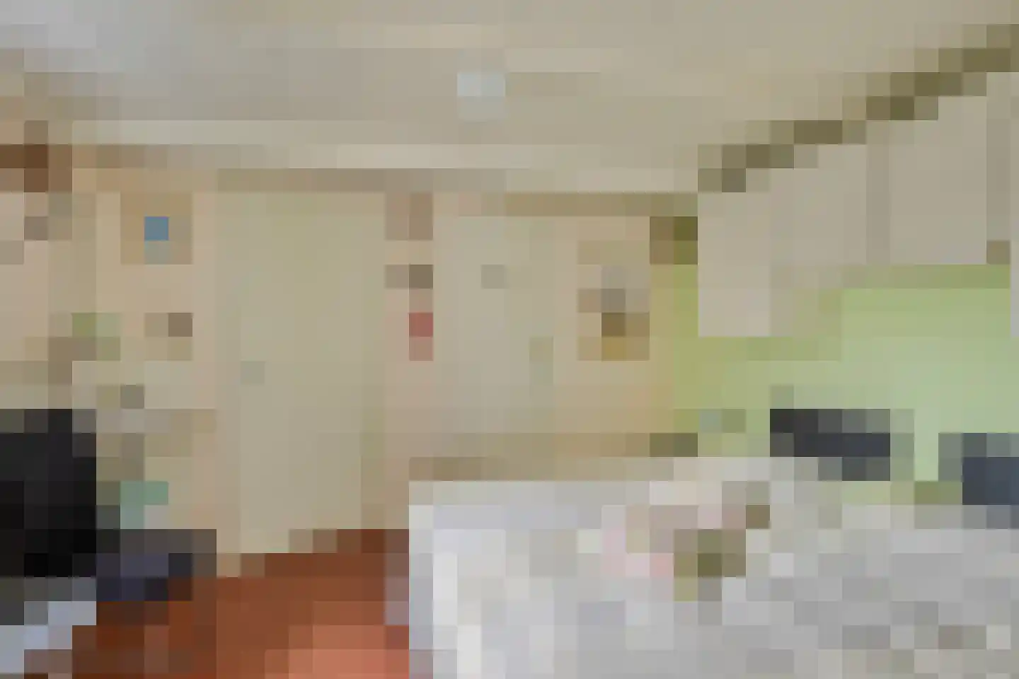Beemdweg 9 A Wanssum thumbnail 44