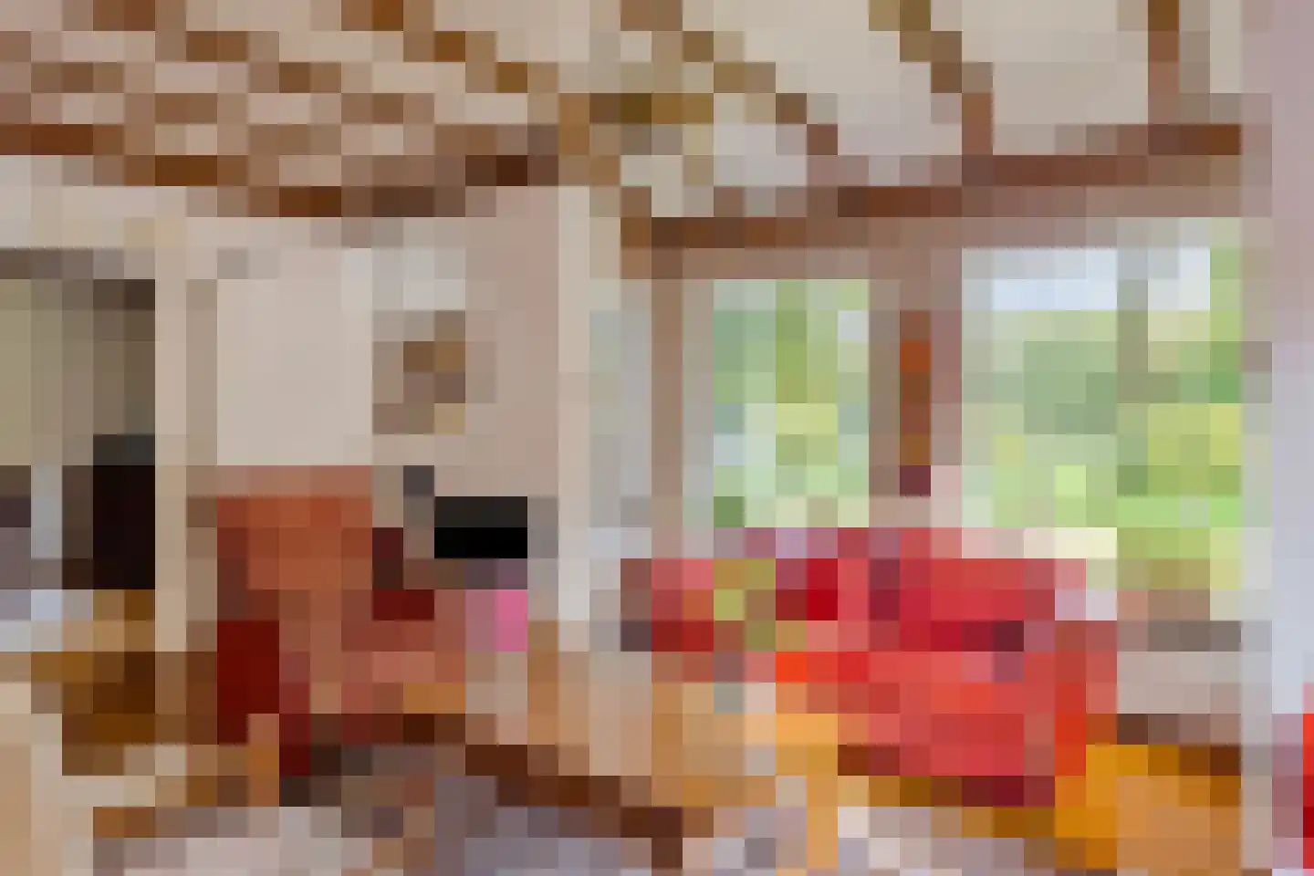 Beemdweg 9 A Wanssum thumbnail 5