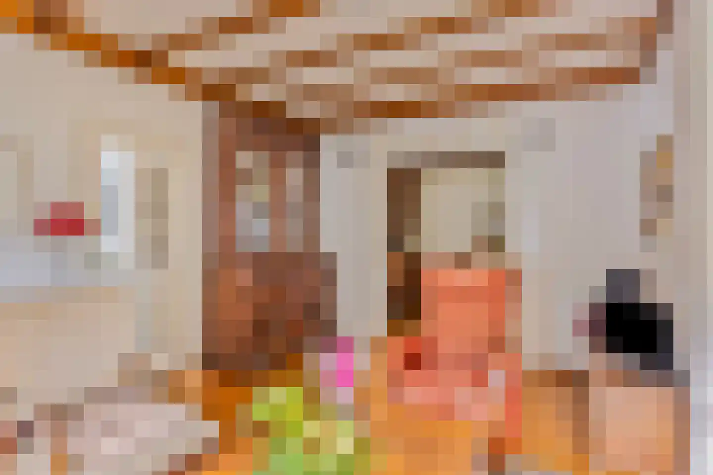 Beemdweg 9 A Wanssum thumbnail 6