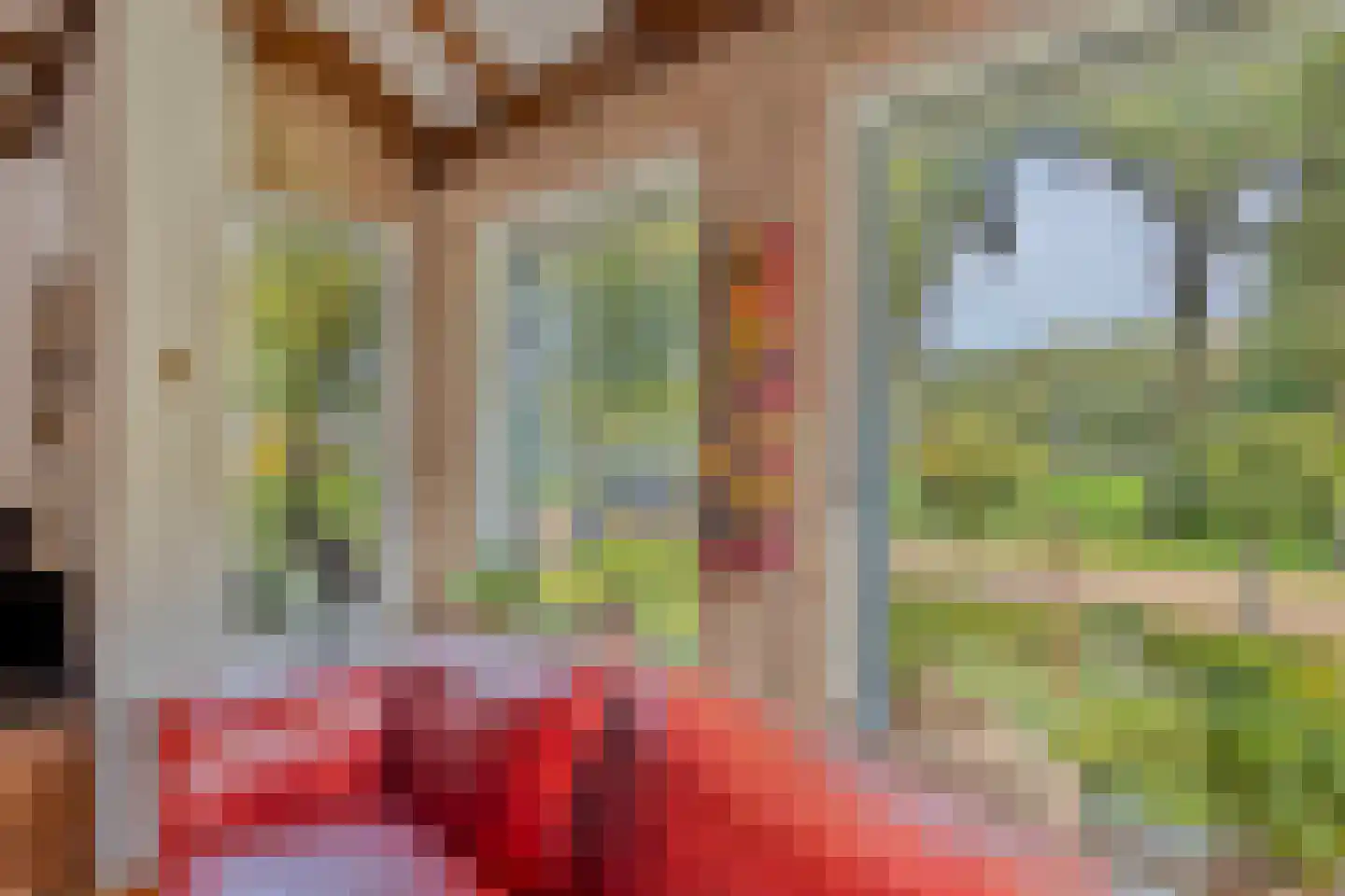 Beemdweg 9 A Wanssum thumbnail 8