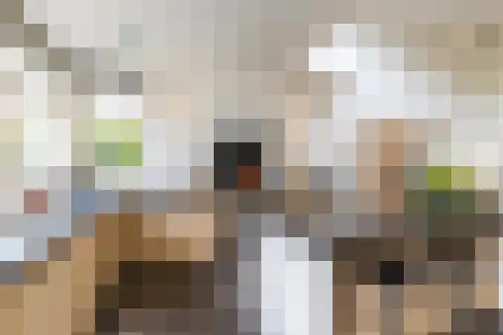 Beemke 13 Netersel thumbnail 12