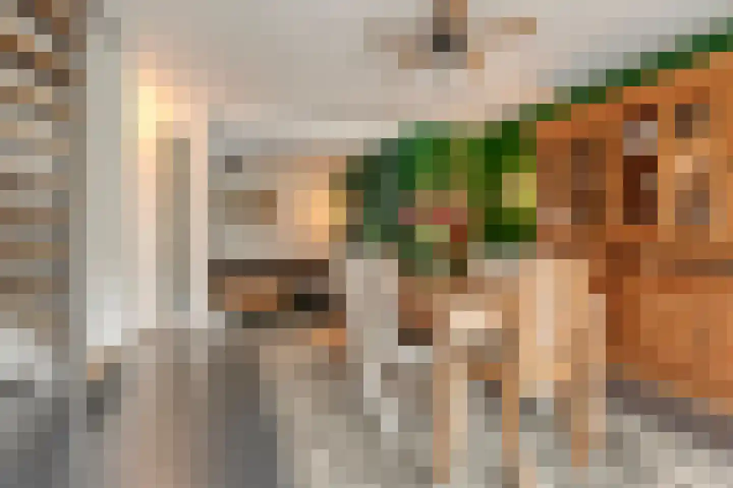 Beemke 13 Netersel thumbnail 17