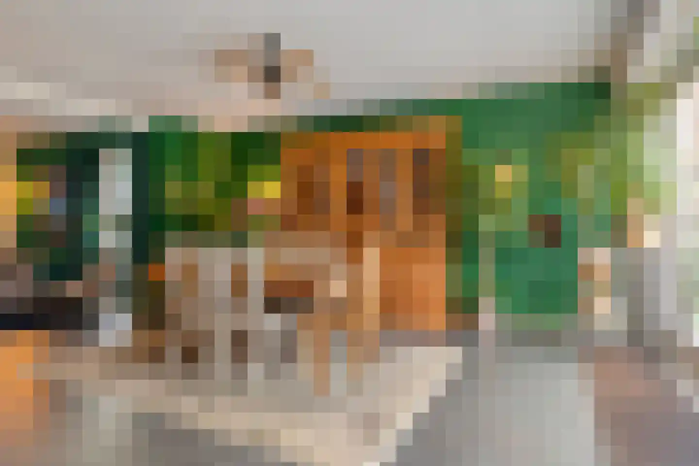 Beemke 13 Netersel foto 2