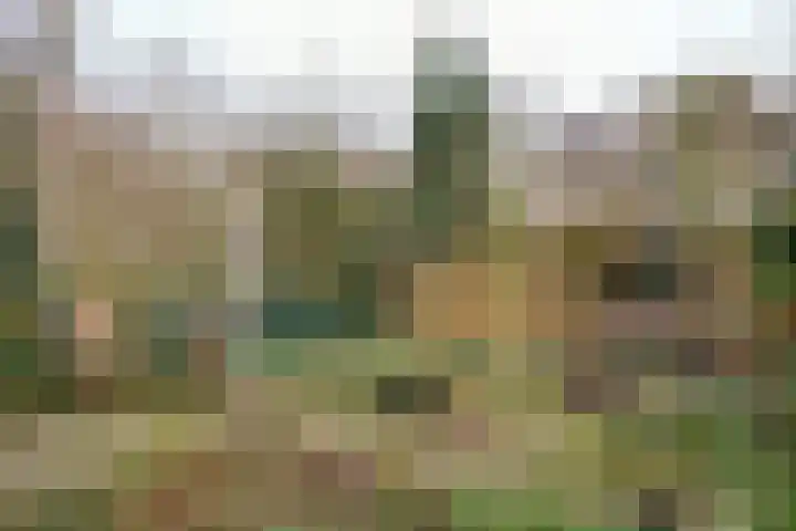 Beemke 13 Netersel foto 3