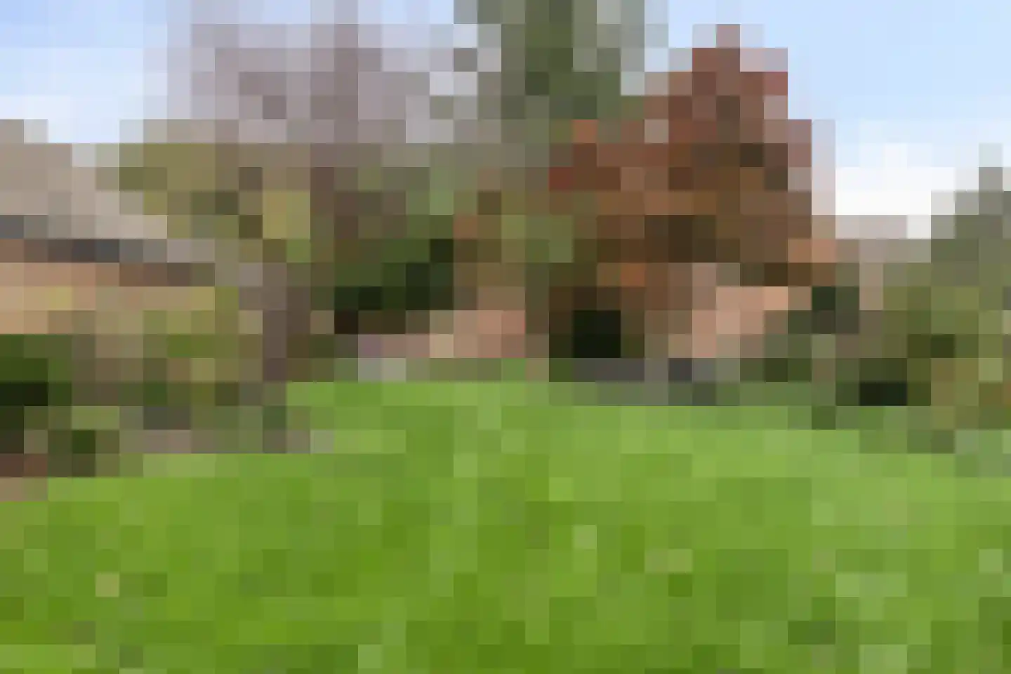 Beemke 13 Netersel thumbnail 42