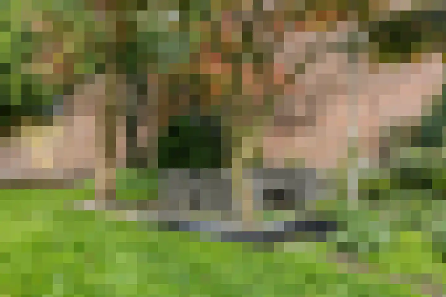 Beemke 13 Netersel thumbnail 43