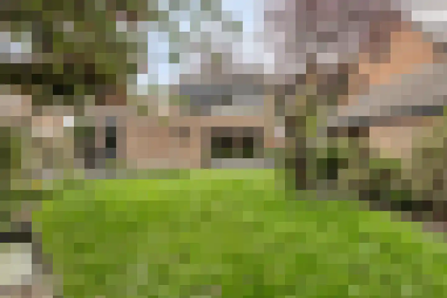 Beemke 13 Netersel thumbnail 44