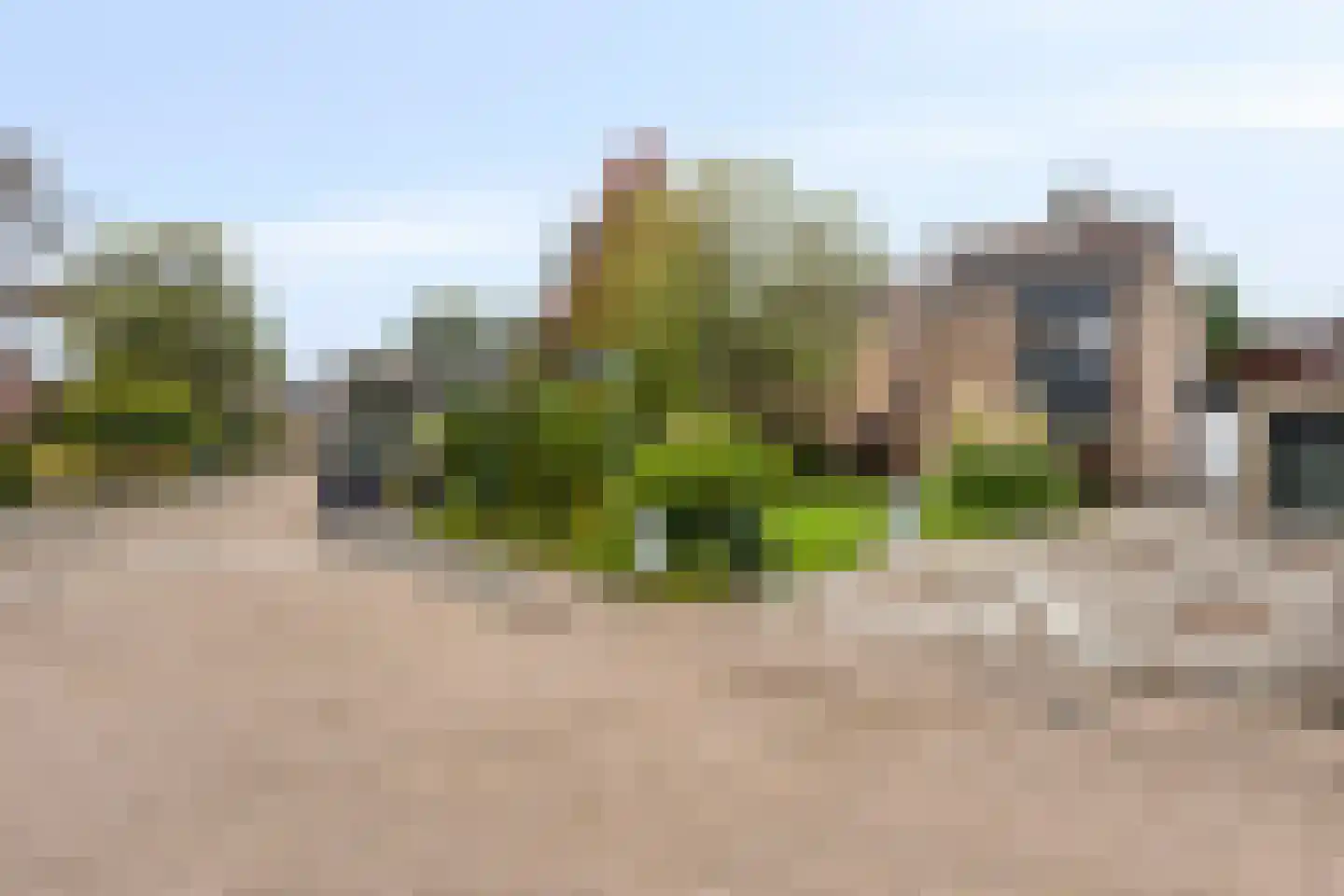 Beemke 13 Netersel thumbnail 46