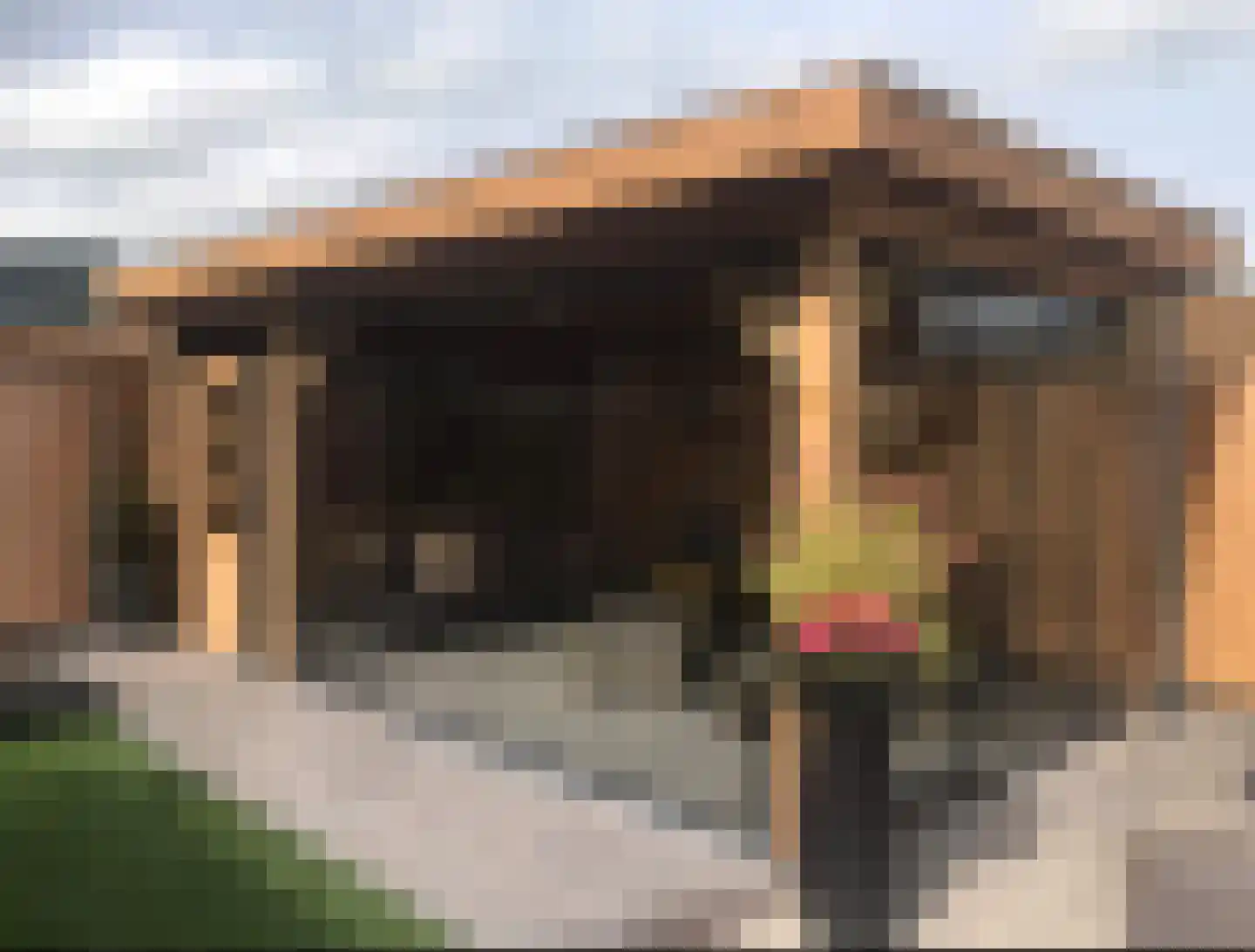 Beemke 13 Netersel thumbnail 47