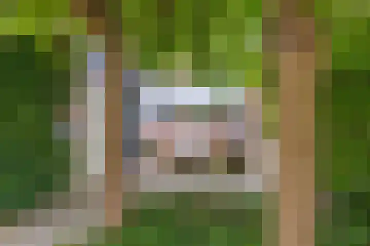 Beemke 13 Netersel thumbnail 8