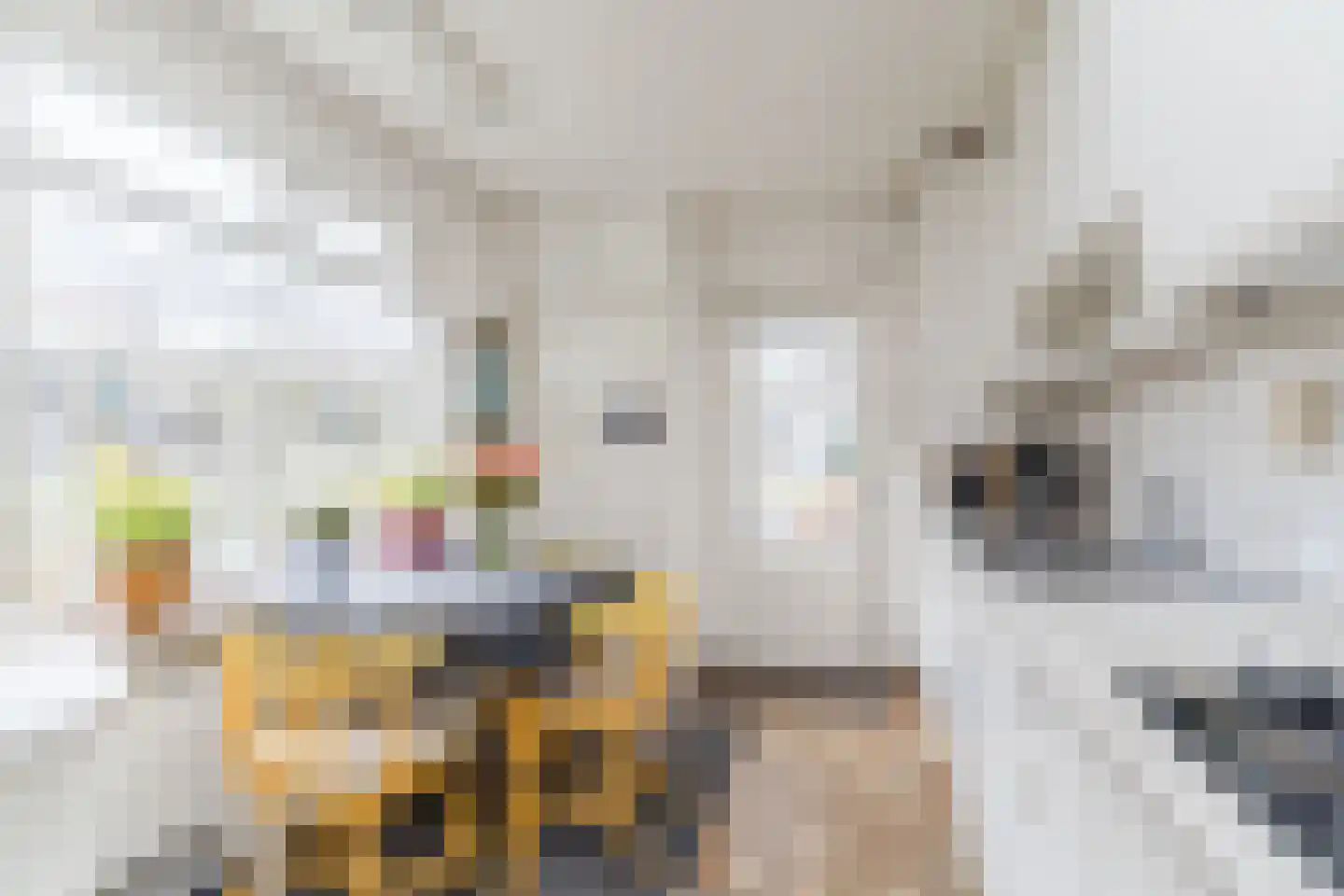 Beemke 9 Netersel thumbnail 14