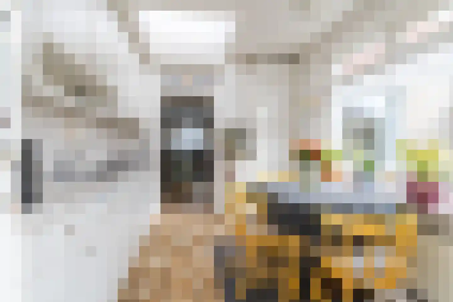 Beemke 9 Netersel thumbnail 17