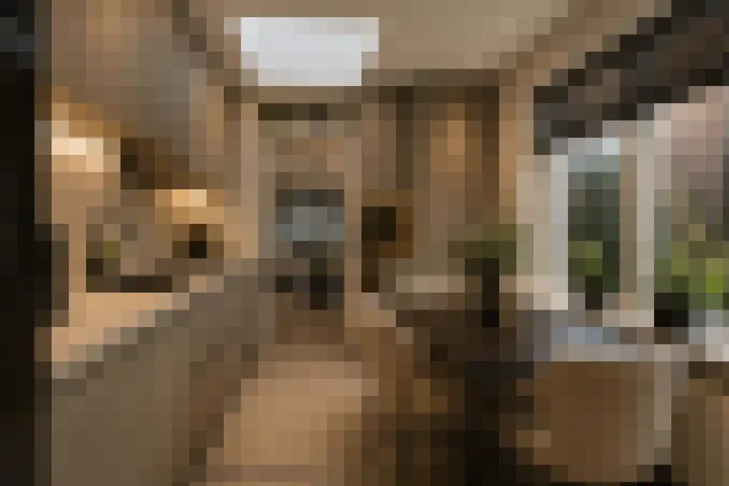 Beemke 9 Netersel thumbnail 18